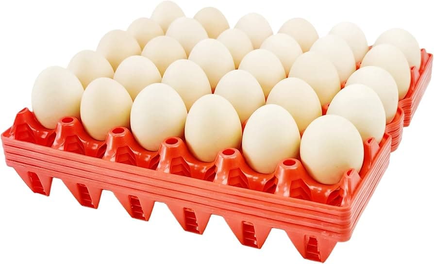 Crate of Eggs 30 Pieces