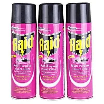 Raid Insecticides 750ml