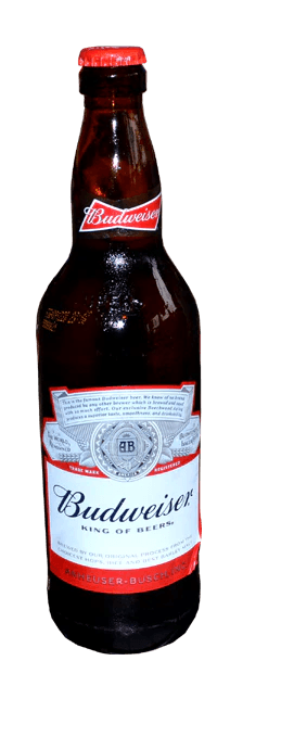 Budweiser Lager Beer 600ml